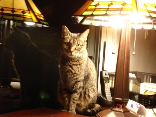 Miss Doozy (aka La Dooz)